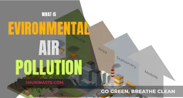 Air Pollution: Understanding Environmental Threats