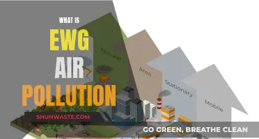 Air Pollution: EWG's Fight for Clean Air