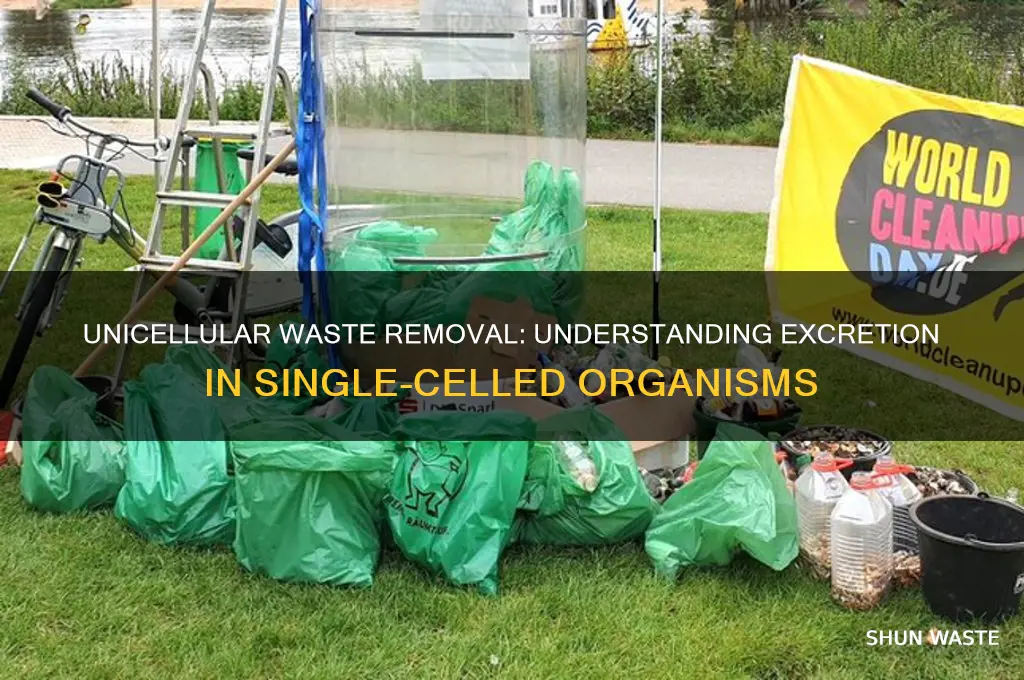 what is excretion how do unicellular organisms remove their waste