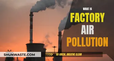 Industrial Air Pollution: What's the Harm?