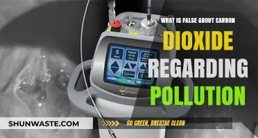 Carbon Dioxide: Myths and Facts About Pollution