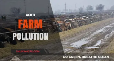 Agricultural Pollution: Impacting Our Farms and Food