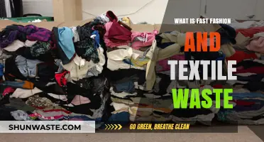 Fast Fashion's Dark Side: Unraveling the Crisis of Textile Waste