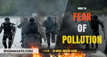 Phobia of Pollution: Understanding the Fear