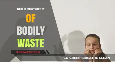 Understanding Felony Battery Involving Bodily Waste: Legal Definitions and Consequences