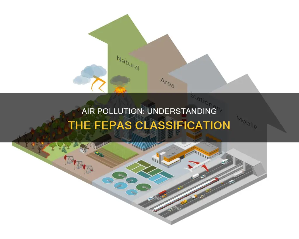 what is fepa classification of air pollution
