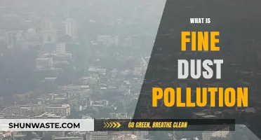 Fine Dust Pollution: A Silent Health Hazard
