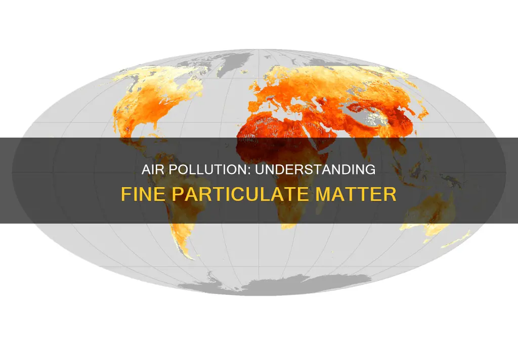 what is fine particulate air pollution