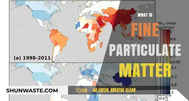 Understanding Fine Particulate Matter: Tiny Pollutants, Big Impact