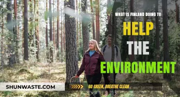 Finland's Green Revolution: Innovative Environmental Initiatives Leading the Way