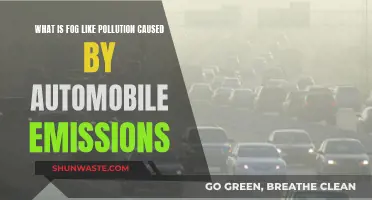 The Hidden Dangers of Fog: Unveiling Auto Emissions' Impact