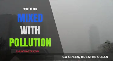 Hazy Fog and Pollution: A Dangerous Mix