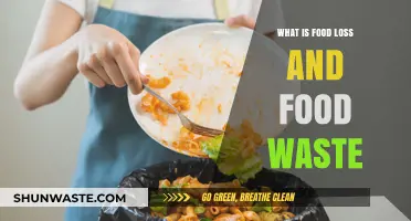Understanding Food Loss and Waste: A Comprehensive Guide