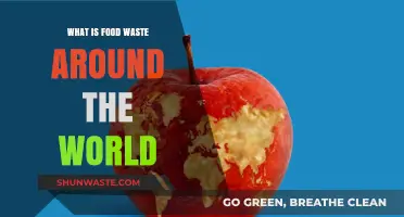 Global Food Waste Crisis: Understanding the Scale and Impact