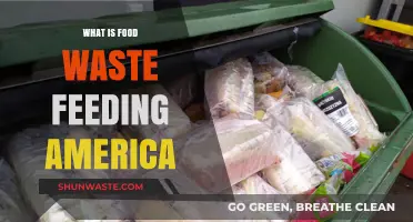 Combatting Food Waste: Nourishing America Through Sustainable Practices