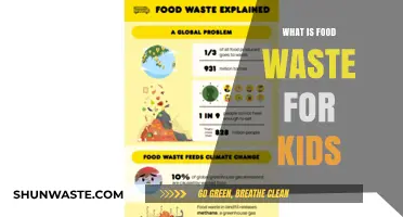Understanding Food Waste: A Simple Guide for Young Minds