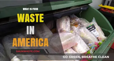 Understanding Food Waste in America: Causes and Solutions