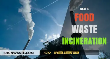 Combating Food Waste: The Incineration Solution