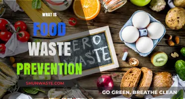 Sustainable Eats: The Art of Preventing Food Waste