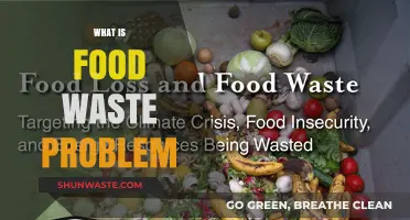The Hidden Crisis: Understanding and Combating Food Waste