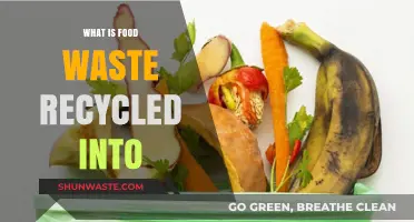 From Scraps to Resources: The Journey of Food Waste Recycling