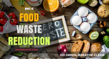 Sustainable Eating: Strategies to Minimize Food Waste