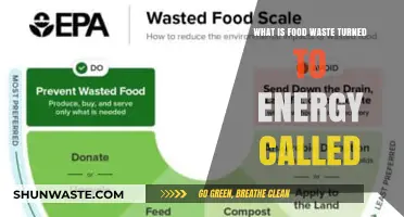 Sustainable Solutions: Transforming Food Waste into Clean Energy