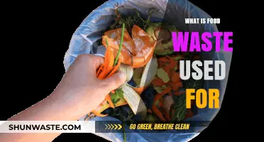 From Scraps to Resources: The Surprising Uses of Food Waste