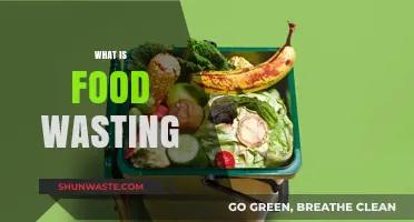 Understanding Food Waste: Causes, Effects, and Solutions