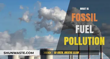 Fossil Fuel Pollution: A Global Climate Crisis