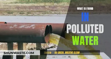 Unveiling the Hidden Dangers: What's in Polluted Water?