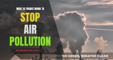 France's Fight Against Air Pollution: Strategies and Actions
