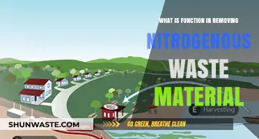 Understanding Nitrogenous Waste Removal: Functions and Biological Processes