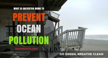 Galveston's Battle Against Ocean Pollution