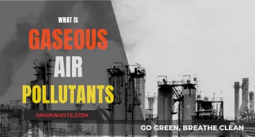 Air Pollutants: Understanding Gaseous Forms