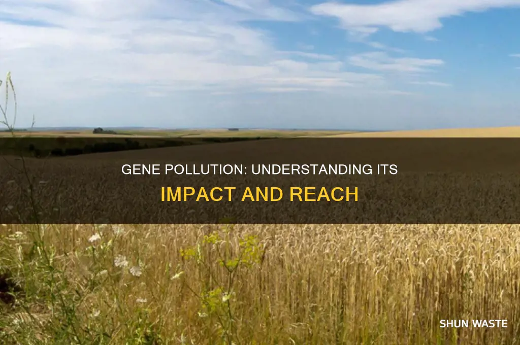 what is gene pollution