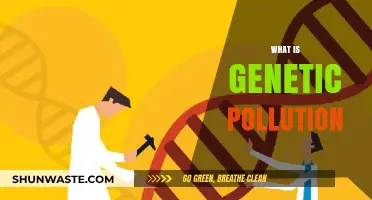 Genetic Pollution: Harmful Effects of Gene Manipulation