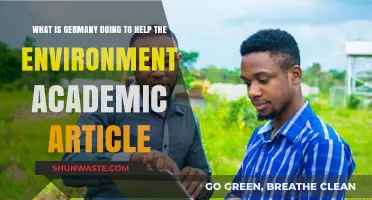Germany's Environmental Initiatives: Academic Insights on Sustainability Efforts