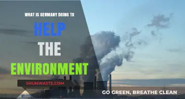 Germany's Green Revolution: Innovative Environmental Initiatives and Sustainability Efforts