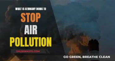 Germany's Fight Against Air Pollution