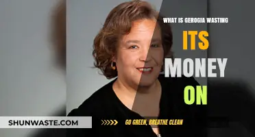 Georgia's Spending Blunders: Where Taxpayer Money Goes to Waste