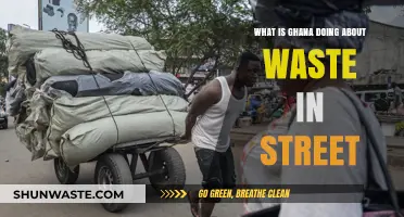 Ghana's Fight Against Street Waste: Initiatives and Community Efforts