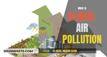 Air Pollution's Global Impact: What and Why?
