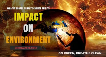 Understanding Global Climate Change: Environmental Impacts and Urgent Challenges