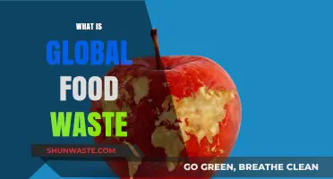 Understanding Global Food Waste: Causes, Impact, and Solutions