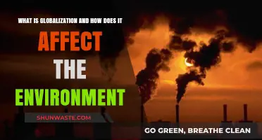 Globalization's Impact: Understanding Environmental Consequences and Sustainability Challenges