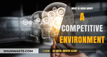 Thriving in Competition: Unlocking Growth and Innovation in Challenging Environments