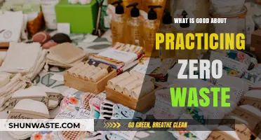 Embrace Zero Waste: Sustainable Living Benefits for a Greener Future