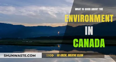 Canada's Pristine Environment: Clean Air, Water, and Wildlife Wonders