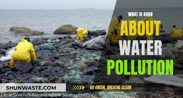 Water Pollution: A Hidden Environmental Asset